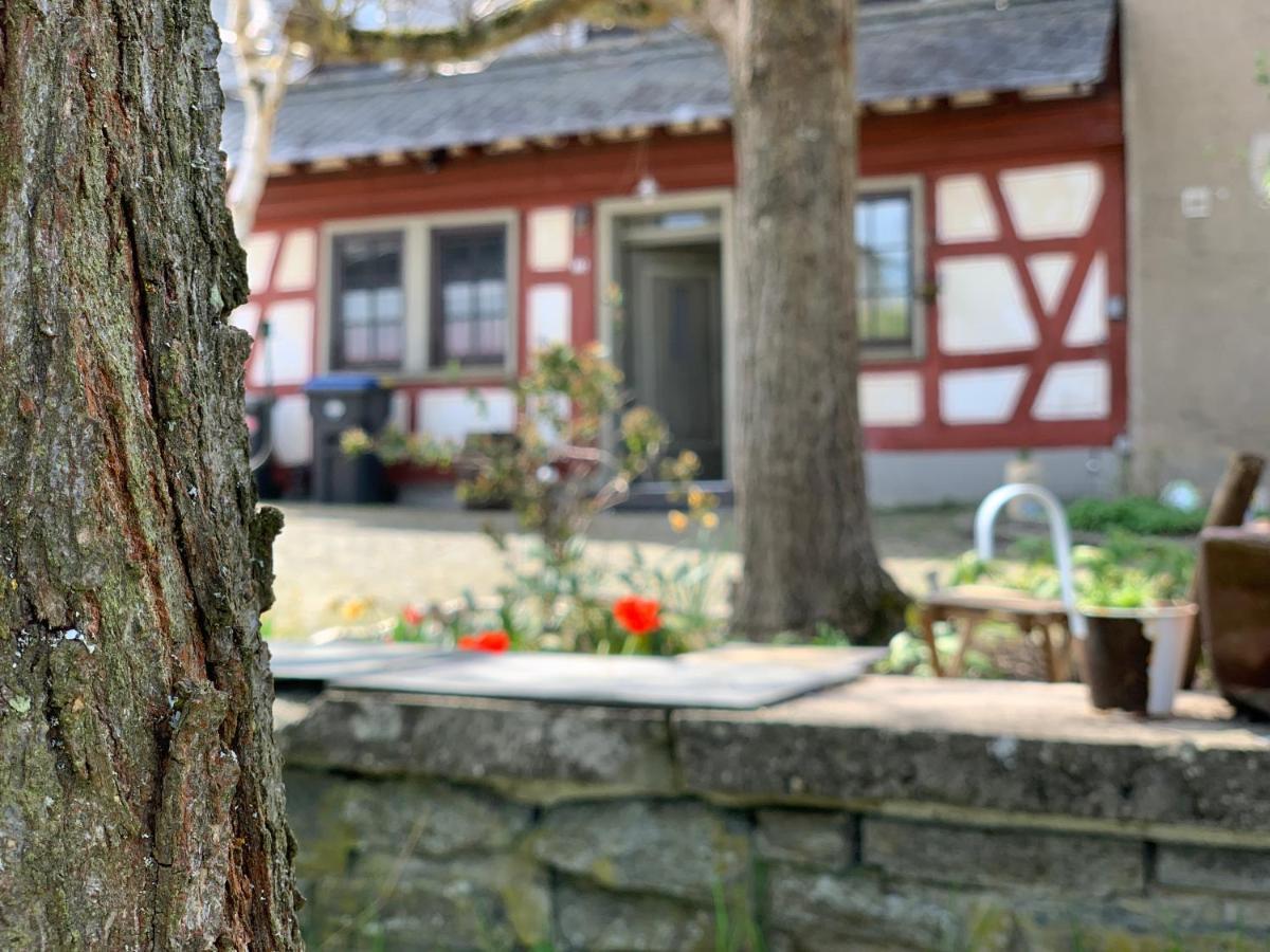 Altes Zehnthaus Geierlay Hotel Mittelstrimmig Luaran gambar