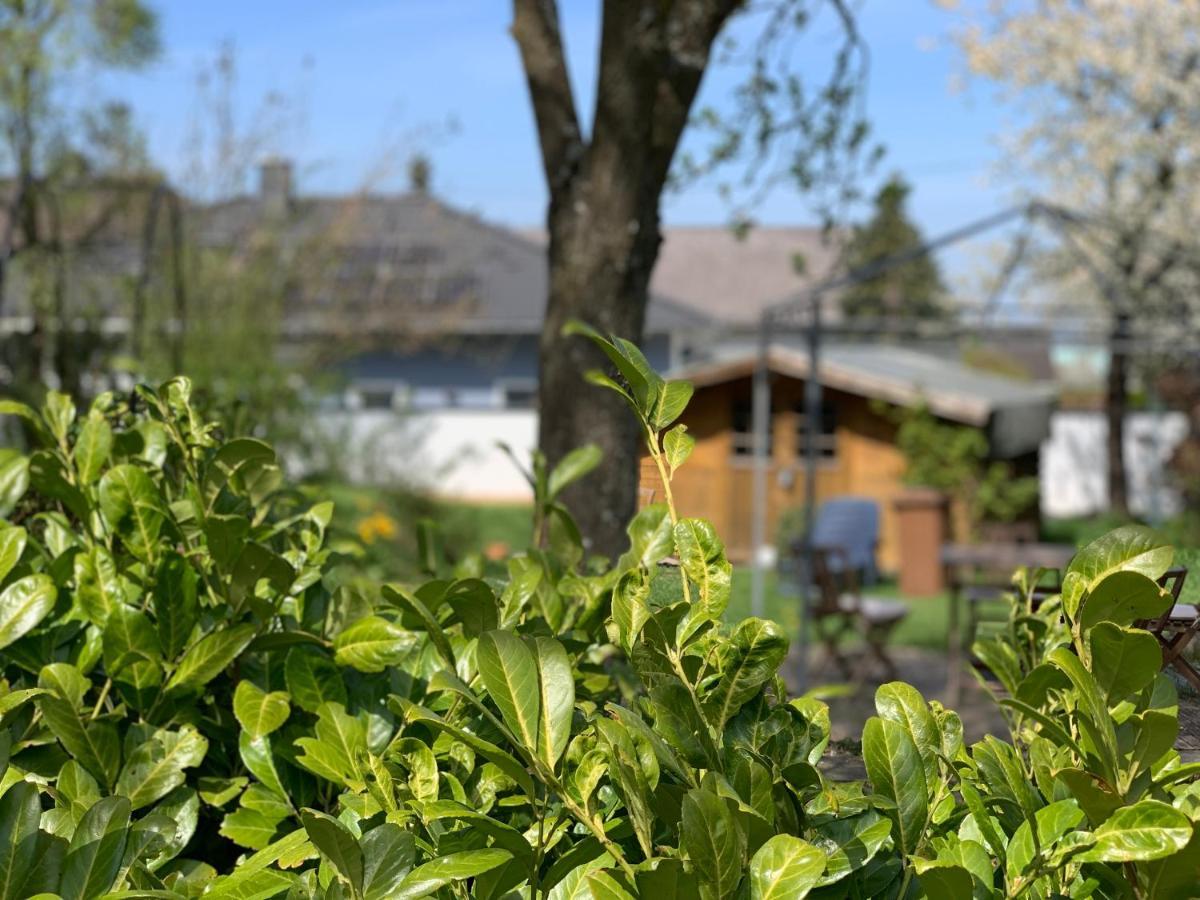 Altes Zehnthaus Geierlay Hotel Mittelstrimmig Luaran gambar